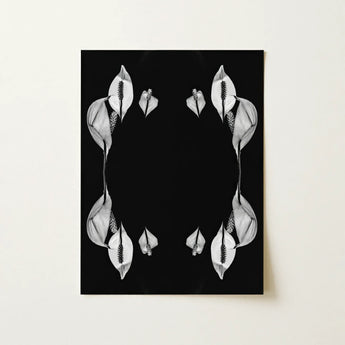 Pearly Whites - Koh Chang Peace Lilies Art Print / Canvas Black White Photographic Print Symmetrical Arrangements Peace Lily Koh Chang