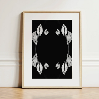 Pearly Whites - Koh Chang Peace Lilies Art Print / Canvas Minimalist Black-and-white Framed Art Print Symmetrical White Calla Koh Chang