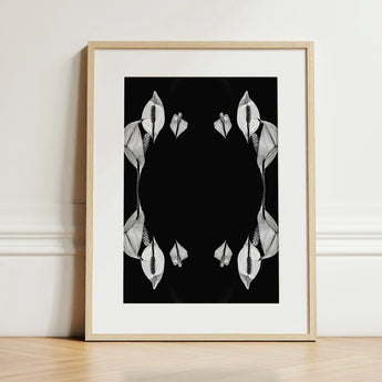 Pearly Whites - Koh Chang Peace Lilies Art Print / Canvas Minimalist Black-and-white Framed Symmetrical White Calla Rorschach,