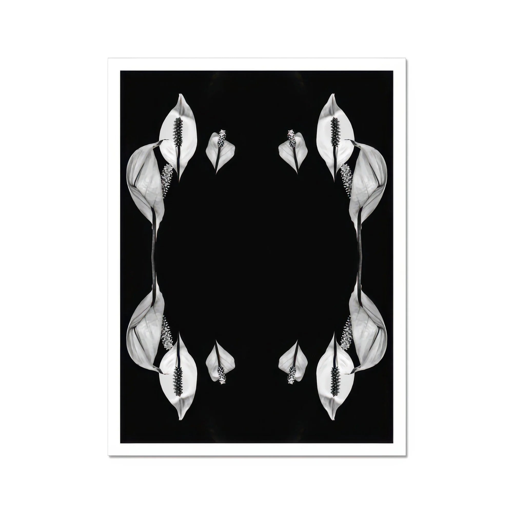 Pearly Whites - Koh Chang Rorschach Lilies Art Print, Peace Lily Flowers Arranged Symmetrical Mirrored Pattern