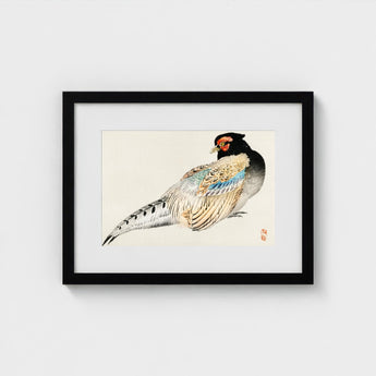 Peregrine Falcon - Kono Bairei Meiji Era Bird Art Print / Canvas Kōno Bairei’s, Gakan, Meiji-era Japan Prints