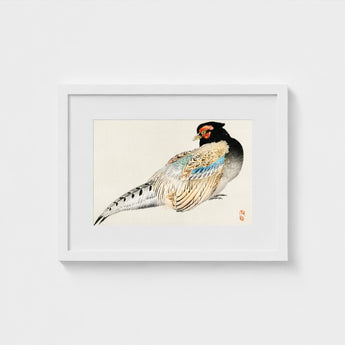Peregrine Falcon - Kono Bairei Meiji Era Bird Art Print / Canvas Kōno Bairei’s, Gakan, Meiji-era Japan Prints