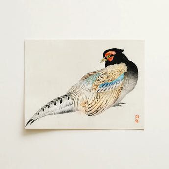 Peregrine Falcon - Kōno Bairei Meiji Era Bird Art Print / Canvas, 16x12’’ / 41x31cm / Unframed / no Border, Posters Prints & Visual