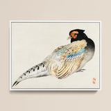 Peregrine Falcon - Kōno Bairei Meiji Era Bird Art Print / Canvas, 16x12’’ / 41x31cm / White Frame, Posters Prints & Visual Artwork, Toby