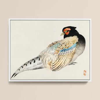 Peregrine Falcon - Kōno Bairei Meiji Era Bird Art Print / Canvas, 16x12’’ / 41x31cm / White Frame, Posters Prints & Visual Artwork, Toby