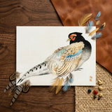 Peregrine Falcon - Kono Bairei Meiji Era Bird Art Print / Canvas Detailed Watercolor Painting Pheasant Black Red Iridescent Blue Kōno
