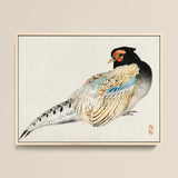 Peregrine Falcon - Kono Bairei Meiji Era Bird Art Print / Canvas Framed Japanese-style Painting Pheasant Intricate Black Red Blue Kōno