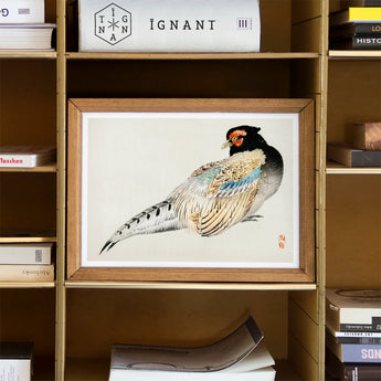 Peregrine Falcon - Kono Bairei Meiji Era Bird Art Print / Canvas Framed Watercolor Painting Pheasant Delicate Feather Kōno Bairei’s, Gakan,