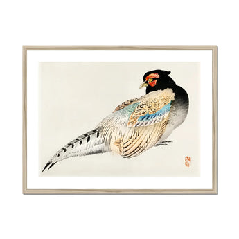 Peregrine Falcon - Kōno Bairei Meiji Era Bird Art Print, Colorful Pheasant Black Head White Feathers Blue Markings