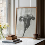 Phacelia Tanacetifolia (lacy Phacelia) - Karl Blossfeldt Art Print / Canvas Minimalist Wooden-framed Black-and-white Botanical Stylized