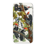 Pileated Woodpecker - John James Audubon Phone Case Iphone x / Matte Pileated Woodpeckers Phone Case John James Audubon, American Sparrow