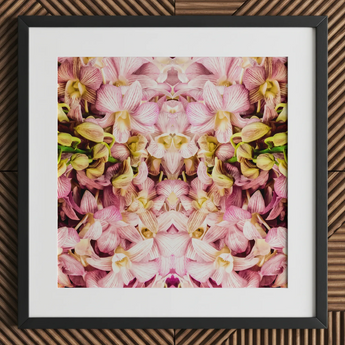Pink Kaleidoscope - Thailändischer Orchideen-Kunstdruck / Leinwand, 12x12’’ / 31x31cm / Schwarzer Rahmen / Passepartout, Poster, Drucke & visuelle Kunstwerke, Toby Leon