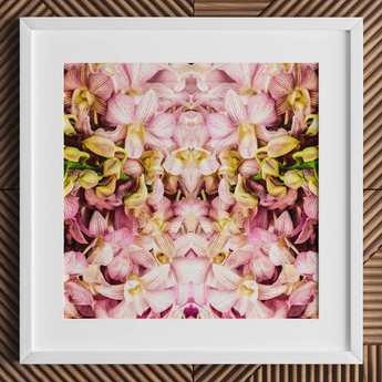 Pink Kaleidoscope - Thailändischer Orchideen-Kunstdruck / Leinwand, 12x12’’ / 31x31cm / Weißer Rahmen / Passepartout, Poster, Drucke & visuelle Kunstwerke, Toby Leon