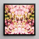Pink Kaleidoscope - Thailändischer Orchideen-Kunstdruck / Leinwand, 12x12’’ / 31x31cm / Schwarzer Rahmen, Poster, Drucke & visuelle Kunstwerke, Toby Leon