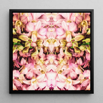 Pink Kaleidoscope - Thailändischer Orchideen-Kunstdruck / Leinwand, 12x12’’ / 31x31cm / Schwarzer Rahmen, Poster, Drucke & visuelle Kunstwerke, Toby Leon