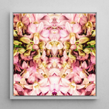 Pink Kaleidoscope - Thailändischer Orchideen-Kunstdruck / Leinwand, 12x12’’ / 31x31cm / Weißer Rahmen, Poster, Drucke & visuelle Kunstwerke, Toby Leon