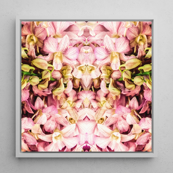 Pink Kaleidoscope - Thailändischer Orchideen-Kunstdruck / Leinwand, 12x12’’ / 31x31cm / Weißer Rahmen, Poster, Drucke & visuelle Kunstwerke, Toby Leon