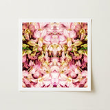 Pink Kaleidoscope - Thai Orchid Art Print / Canvas Framed Artwork Symmetrical Kaleidoscopic Pattern Cream Orchids, Photography, Floral
