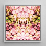 Pink Kaleidoscope - Thai Orchid Art Print / Canvas Framed Square Artwork Symmetrical Mirrored Pattern Pink Pale Kaleidoscopic Orchid Art,