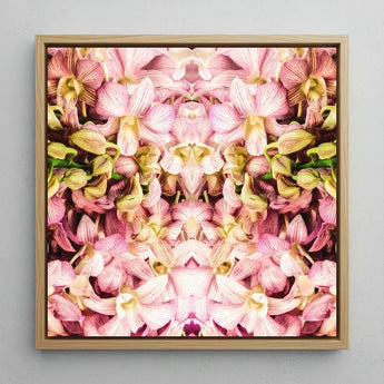 Pink Kaleidoscope - Thai Orchid Art Print / Canvas Square-framed Artwork Symmetrical Kaleidoscopic Pattern Cream Orchids, Photography,