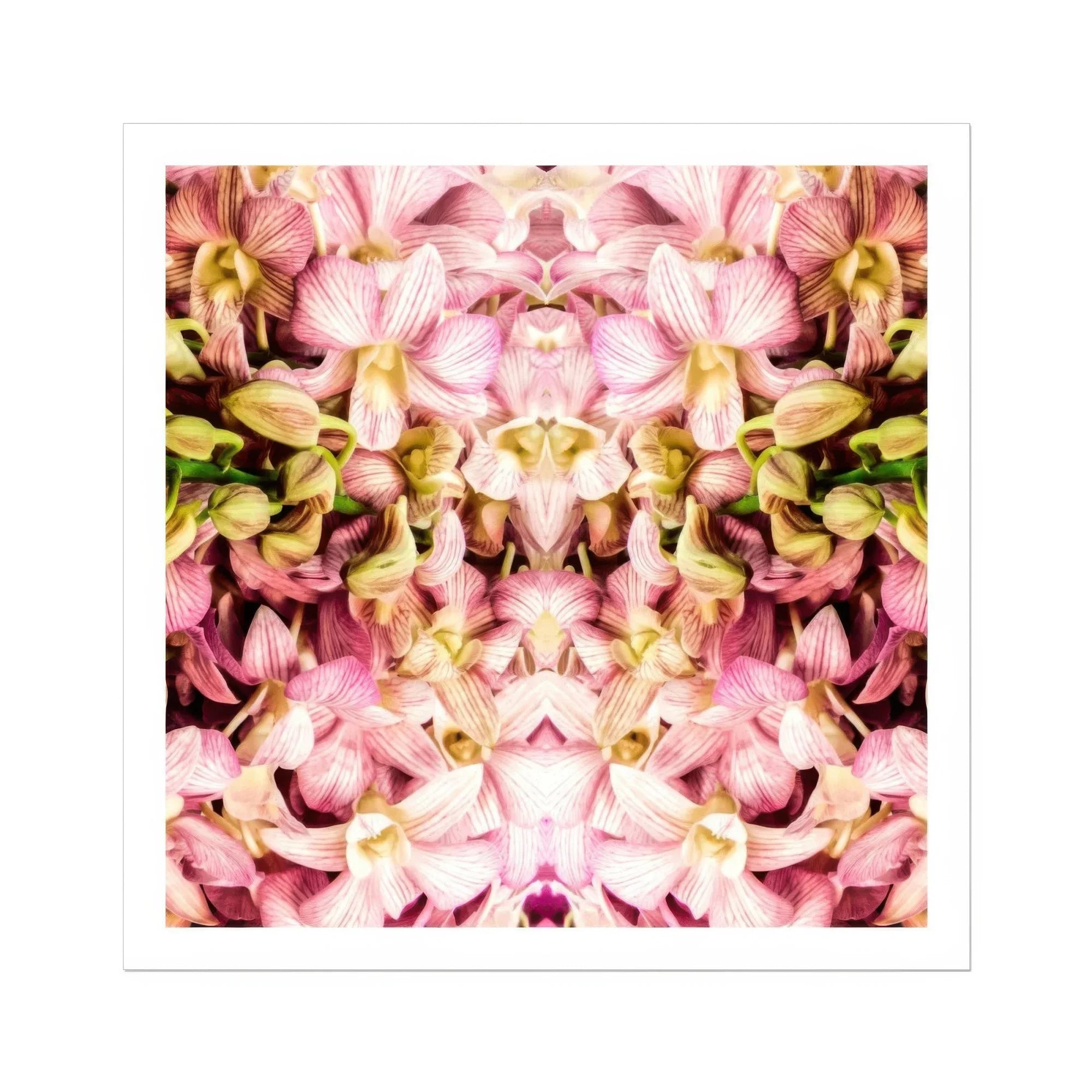 Pink Kaleidoscope - Thai Orchid Art Print, Kaleidoscopic Pattern Pink Yellow Orchid Flowers Arranged Mirror-like