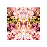 Pink Kaleidoscope - Thailändischer Orchideen-Kunstdruck / Leinwand, 12x12’’ / 31x31cm / Ohne Rahmen / Weißer Rand, Poster, Drucke & visuelle Kunstwerke, Toby Leon