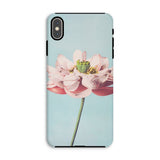 Pink Water Lily - Ogawa Kazumasa Floral Phone Case Iphone Xs Max / Matte Phone Case Close-up Photograph Pink Lotus Flower Light Kazumasa