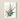 Botanical Illustration Print Bromeliad Plant Green Leaves Pinkish-red Pierre-joseph Redouté, Bromelia Pinguin