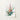 Botanical Illustration Print Green Red Spiky Plant Pink Pierre-joseph Redouté, Bromelia Pinguin