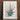 Framed Botanical Illustration Bromeliad Plant Green Spiky Leaves Pierre-joseph Redouté Print, Bromelia Pinguin