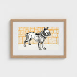 Pitbull - Moriz Jung Vintage Dog Illustration Art Print / Canvas Framed Black White French Bulldog Orange Brick, Jung’s Terrier,