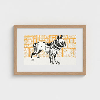 Pitbull - Moriz Jung Vintage Dog Illustration Art Print / Canvas Framed Black White French Bulldog Orange Brick, Jung’s Terrier,
