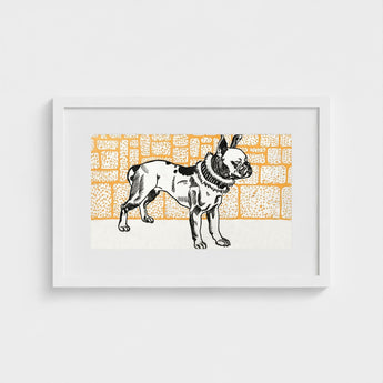 Pitbull - Moriz Jung Vintage Dog Illustration Art Print / Canvas Framed Black White French Bulldog Orange Brick, Jung’s Terrier,