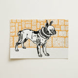 Pitbull - Moriz Jung Vintage Dog Illustration Art Print / Canvas, 18x12’’ / 46x31cm / Unframed / no Border, Posters Prints & Visual