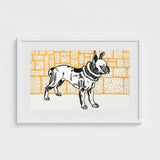 Pitbull - Moriz Jung Vintage Dog Illustration Art Print / Canvas Framed Black-and-white French Bulldog Orange Brick Wall, Jung’s Terrier,