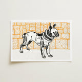 Pitbull - Moriz Jung Vintage Dog Illustration Art Print / Canvas Black White Illustrated French Bulldog Collar Stands Orange, Jung’s