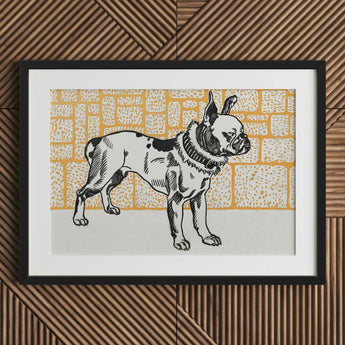 Pitbull - Moriz Jung Vintage Dog Illustration Art Print / Canvas Black-framed Artwork Stylized French Bulldog Black Ink, Jung’s Terrier,