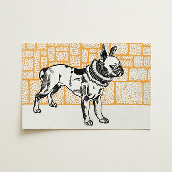 Pitbull - Moriz Jung Vintage Dog Illustration Art Print / Canvas Black-and-white Illustrated French Bulldog Collar Printed Rectangular