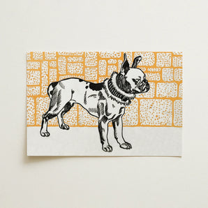 Pitbull - Moriz Jung Vintage Dog Illustration Art Print / Canvas, Moriz Jung, Jung’s Pitbull Terrier, 20th-century Graphic Artistry