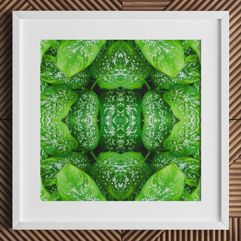 Pitter Splatter - Tropisches Blatt-Op-Art-Print / Leinwand, 12x12’’ / 31x31cm / Weißer Rahmen / Passepartout, Poster, Drucke & visuelle Kunstwerke, Toby