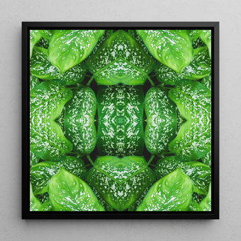 Pitter Splatter - Tropical Leaf Op Art Print / Canvas, 12x12’’ / 31x31cm / Black Frame, Posters Prints & Visual Artwork, Toby Leon