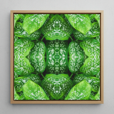 Pitter Splatter - Tropical Leaf Op Art Print / Canvas, 12x12’’ / 31x31cm / Natural Frame, Posters Prints & Visual Artwork, Toby Leon