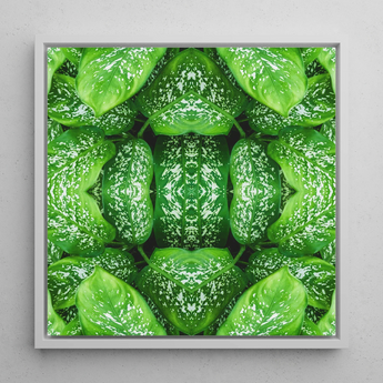 Pitter Splatter - Tropical Leaf Op Art Print / Canvas Framed Square Artwork Symmetrical Kaleidoscopic Pattern Vibrant Green Pitter Splatter