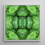 Pitter Splatter - Tropical Leaf Op Art Print / Canvas Framed Square Artwork Symmetrical Kaleidoscopic Pattern Vibrant Green, Prints