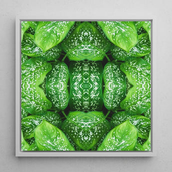 Pitter Splatter - Tropical Leaf Op Art Print / Canvas Framed Square Artwork Symmetrical Kaleidoscopic Pattern Vibrant Green, Prints