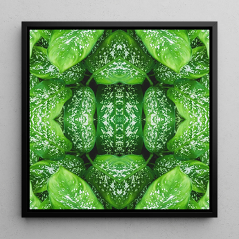 Pitter Splatter - Tropical Leaf Op Art Print / Canvas Framed Square Artwork Symmetrical Kaleidoscopic Pattern Vibrant Green Pitter Splatter