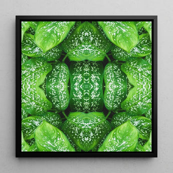 Pitter Splatter - Tropical Leaf Op Art Print / Canvas Framed Square Artwork Symmetrical Kaleidoscopic Pattern Vibrant Green, Prints