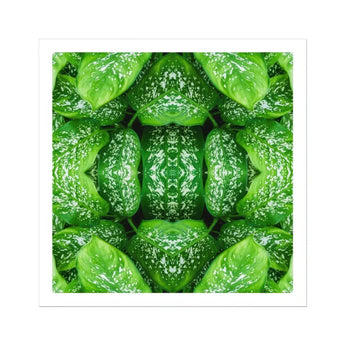 Pitter Splatter - Tropical Leaf Op Art Print / Canvas Kaleidoscopic Pattern Created Repeated Wet Lettuce Leaves Pitter Splatter Tropical,
