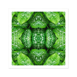 Pitter Splatter - Tropical Leaf Op Art Print / Canvas Kaleidoscopic Pattern Created Repeated Wet Lettuce Leaves, Prints