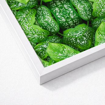 White-framed Artwork Close-up Vibrant Green Leaves White Speckles Pitter Splatter Tropical, Leaf, Art